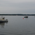 DSC02555